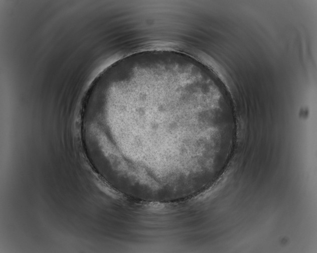 X0000102020827200808081746