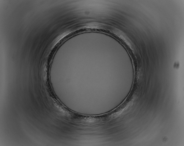 X0000102020829200808081746