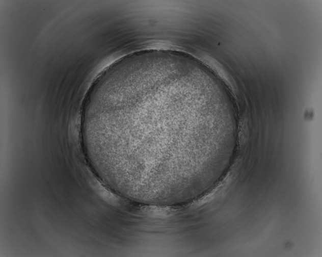 X0000102020831200808081746