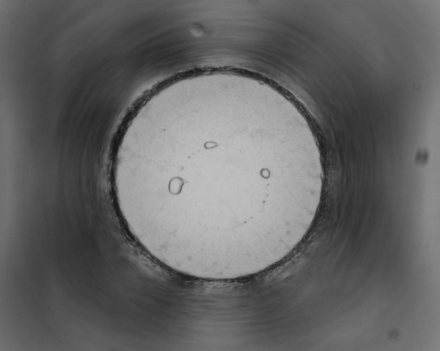 X0000102020832200808081746
