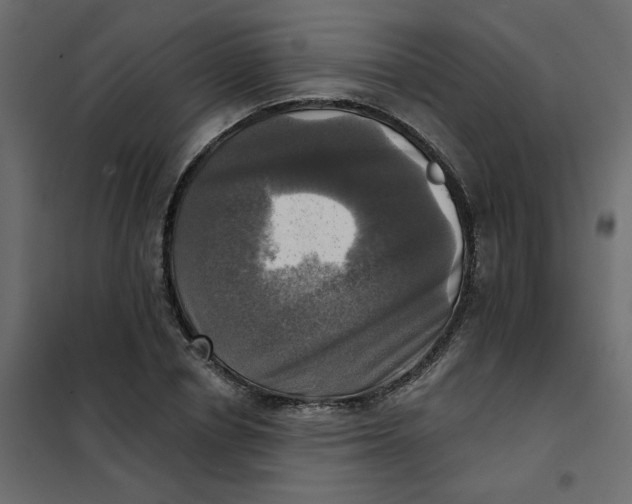 X0000102020834200808081746