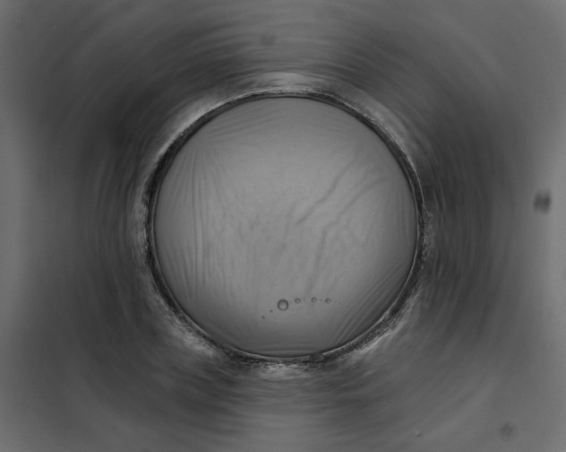 X0000102020835200808081746