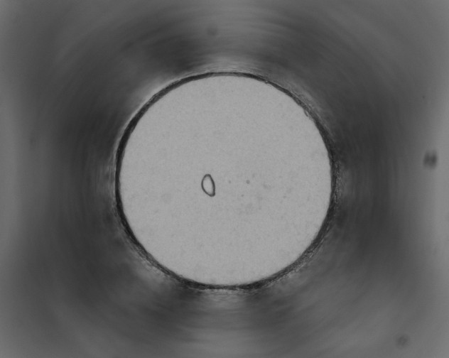 X0000102020836200808081746