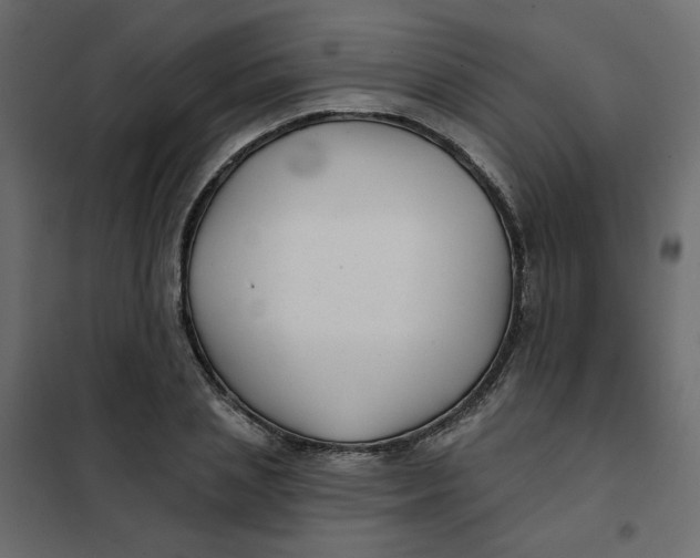X0000102020837200808081746