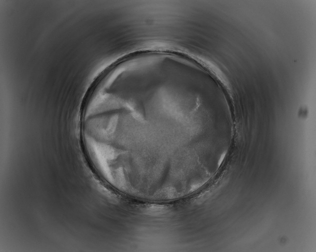 X0000102020839200808081746