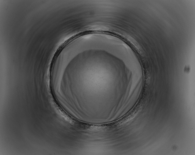 X0000102020840200808081746