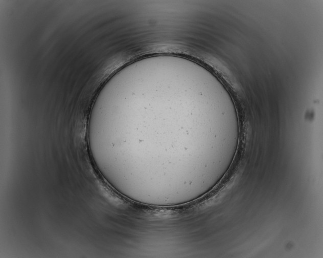 X0000102020841200808081746