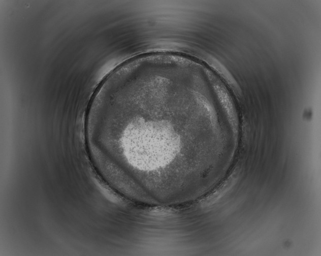 X0000102020842200808081746