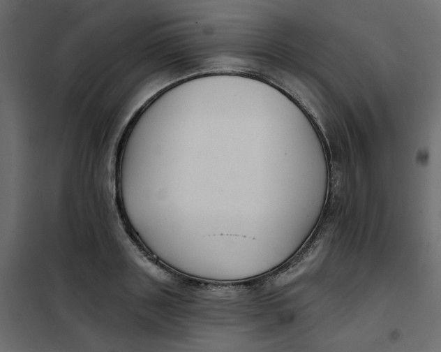 X0000102020843200808081746