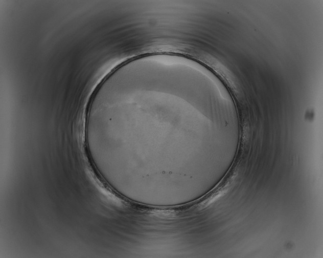 X0000102020844200808081746