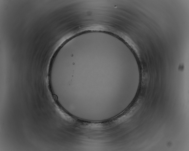 X0000102020845200808081746