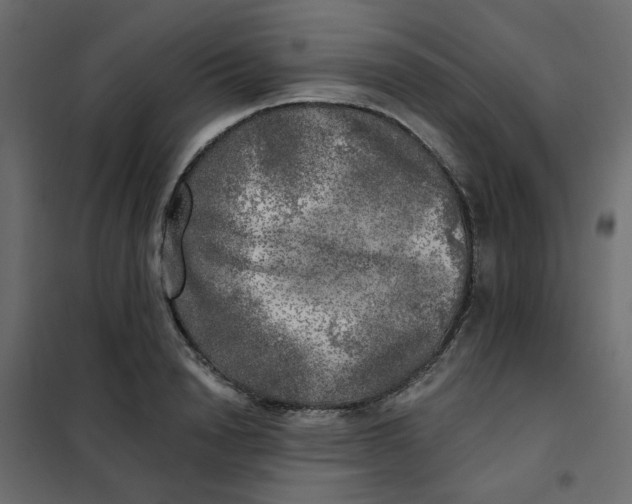 X0000102020846200808081746