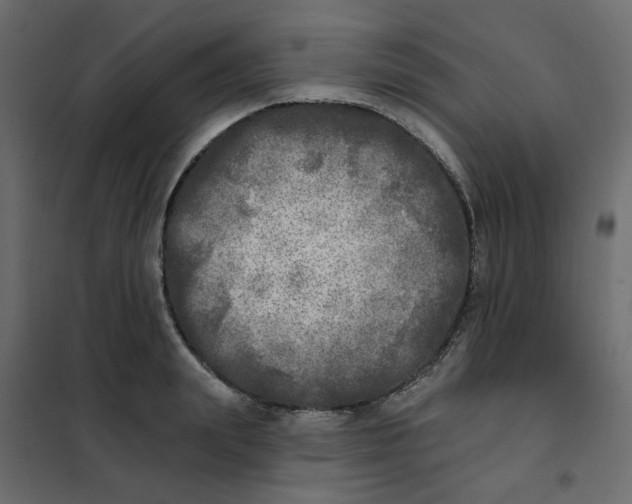 X0000102020847200808081746