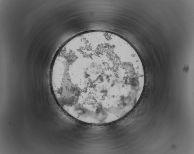 X0000102020848200808081747