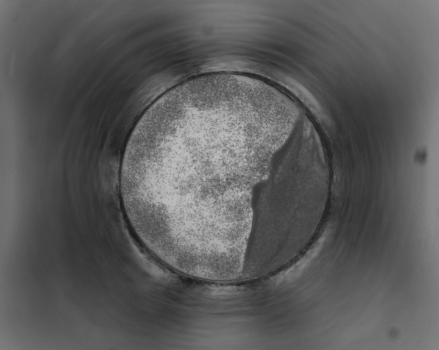 X0000102020849200808081747