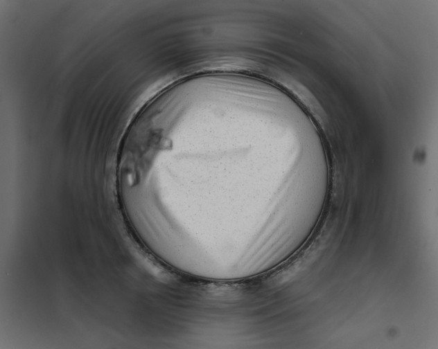 X0000102020850200808081747