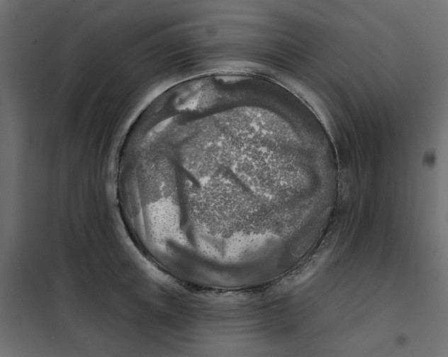 X0000102020851200808081747