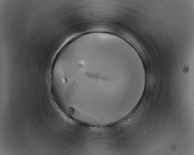 X0000102020852200808081747