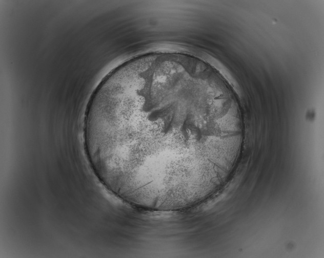 X0000102020853200808081747