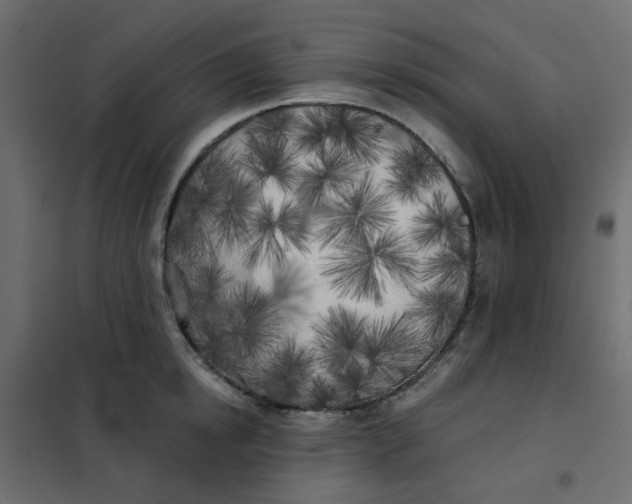 X0000102020854200808081747