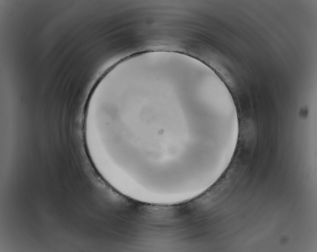 X0000102020856200808081747