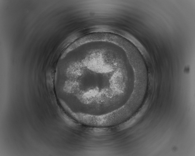 X0000102020857200808081747