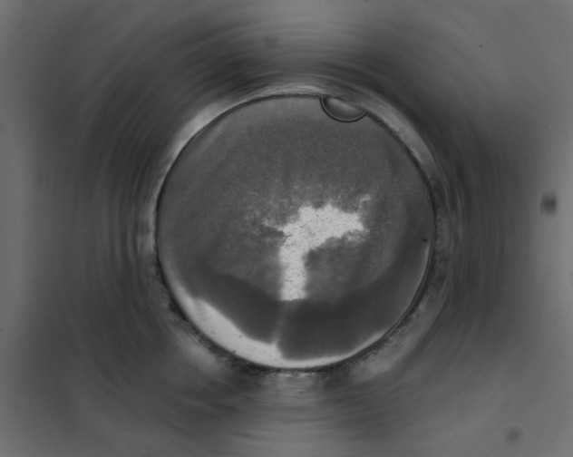X0000102020858200808081747