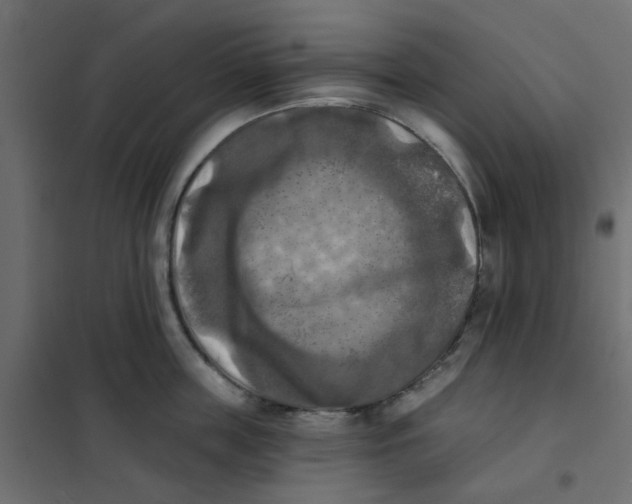 X0000102020859200808081747