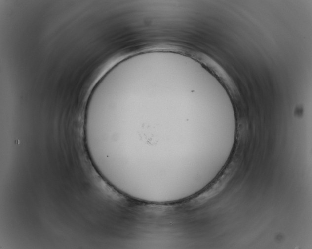 X0000102020860200808081747