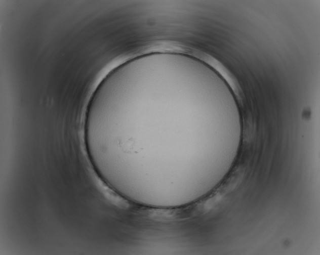 X0000102020861200808081747