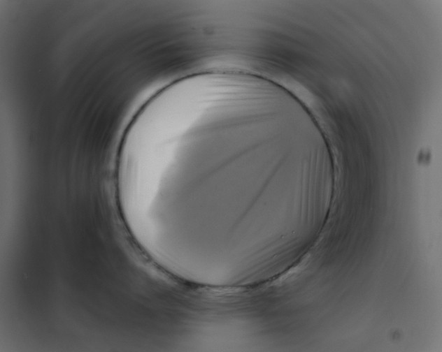 X0000102020864200808081747