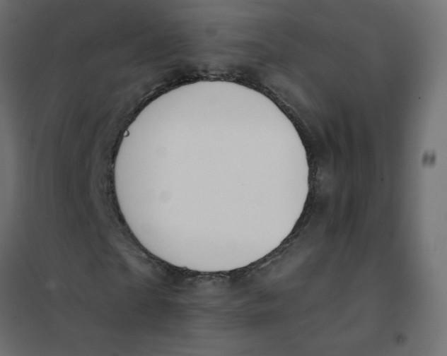 X0000102020865200808081746
