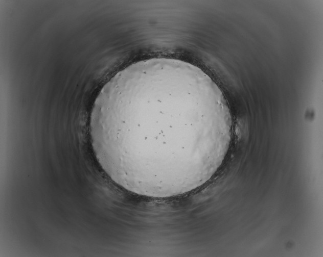 X0000102020867200808081746