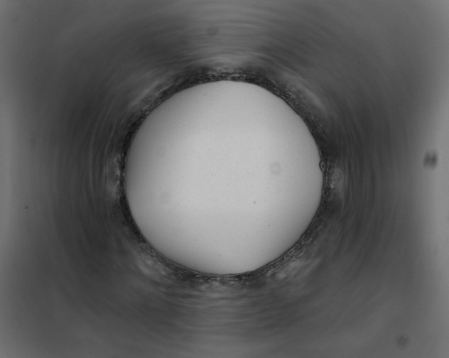 X0000102020868200808081746