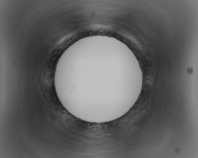X0000102020869200808081746