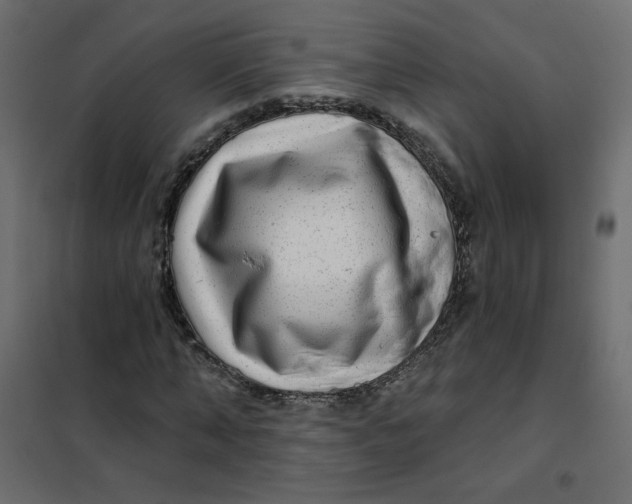 X0000102020870200808081746