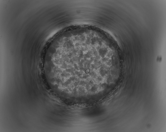 X0000102020871200808081746