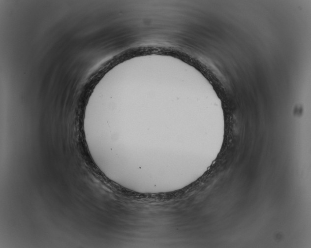 X0000102020872200808081746
