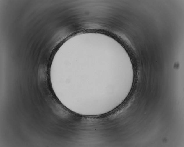 X0000102020873200808081746