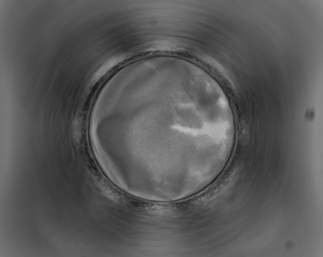 X0000102020874200808081746