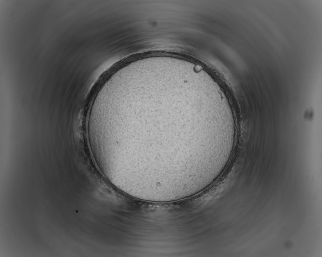 X0000102020875200808081746