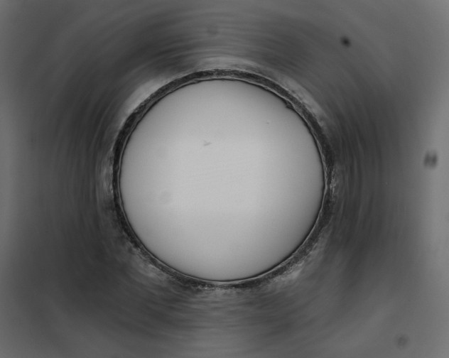 X0000102020877200808081746
