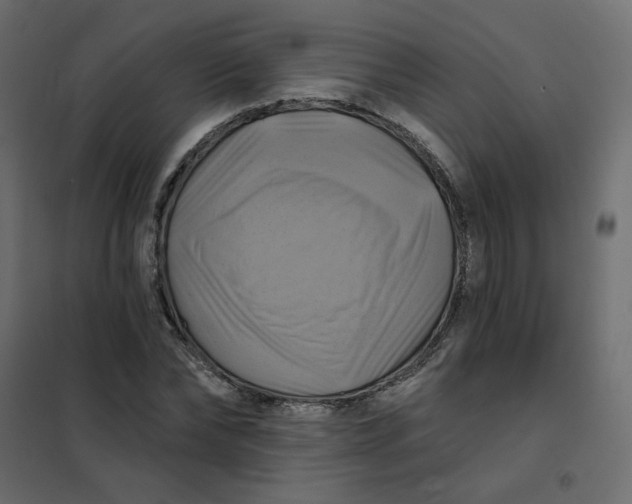 X0000102020878200808081746