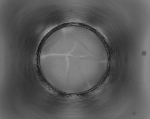 X0000102020879200808081746