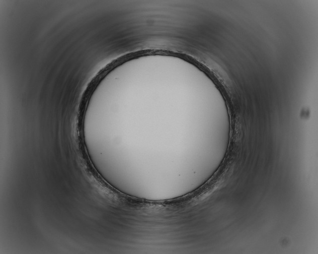 X0000102020880200808081746