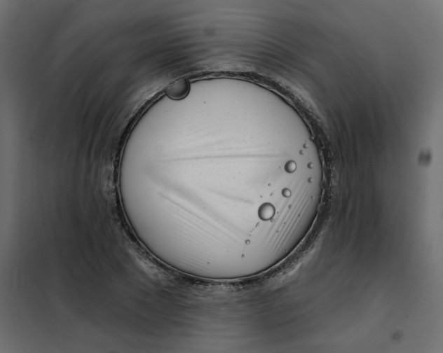 X0000102020881200808081746