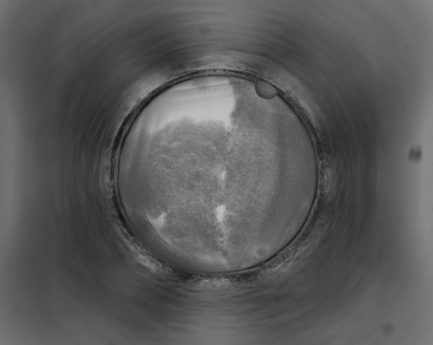 X0000102020882200808081746
