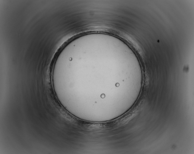 X0000102020883200808081746