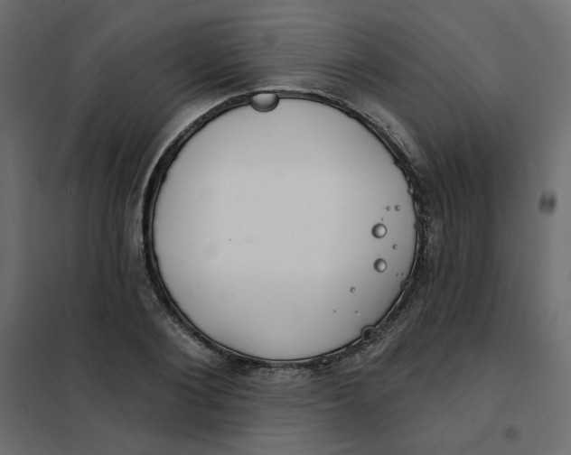 X0000102020884200808081746