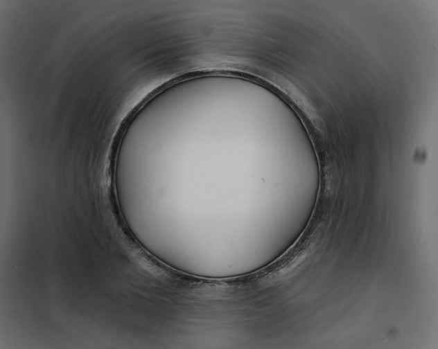 X0000102020885200808081746